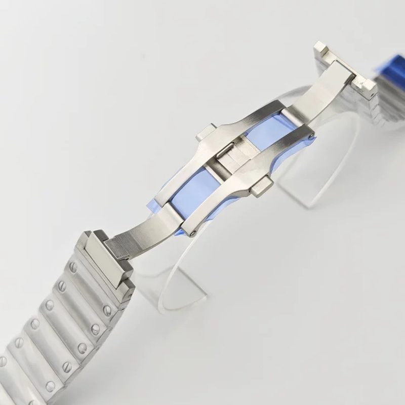 21mm Sandoz Watchband for Cart - Cartier Watch Tank review and price